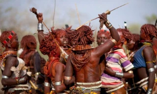 Lễ hội nhảy bò.