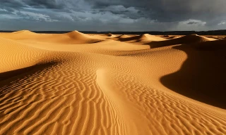 Vẻ đẹp tuyệt vời của cuộc sống trên sa mạc