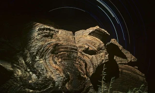 Đến năm 2021, chúng ta sẽ tìm thấy sự sống trên sao Hỏa? 