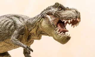 Những sự thật bất ngờ và thú vị về loài khủng long bạo chúa