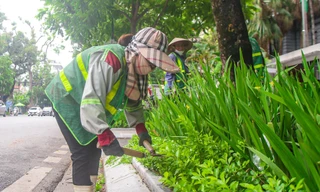 Chỉnh trang vườn hoa hồ Hoàn Kiếm, phố trung tâm xuyên suốt SEA Games 31