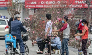 Không khí Tết tràn ngập chợ hoa xuân mở sớm nhất Hà Nội