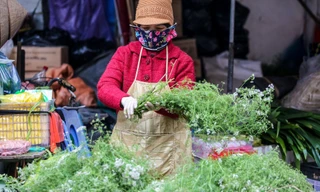 Người Hà Thành 'săn' mùi già về tắm Tất niên