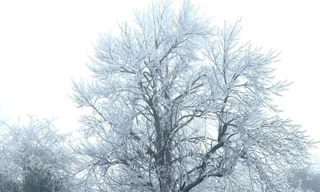 Băng phủ trắng xóa trên đường lên đỉnh Fansipan