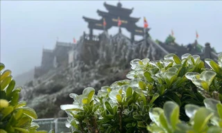 Cận cảnh băng giá phủ trắng đỉnh Fansipan