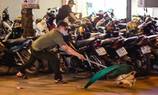 Theo chân tổ đội bắt chó thả rông ở Hà Nội