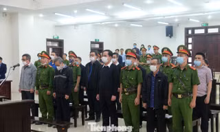 Đề nghị phạt 2 cựu Phó tổng BIDV án từ 6 - 7 năm tù
