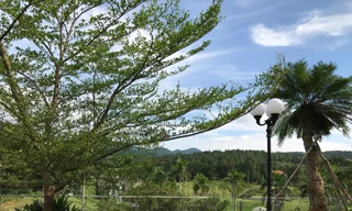 vườn trên cao độc đáo 