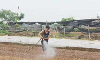 Anh Thắng vừa chia sẻ với PV vừa làm “luôn tay luôn chân”. 