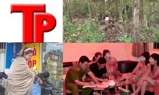 Bản tin Hình sự: Bán đồ ăn kèm dịch vụ mại dâm, nhà hàng Vitamin thu nửa tỷ một ngày