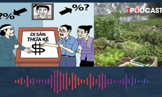 Cách chia thừa kế nhà đất do cha mẹ để lại 2024 mới nhất