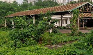 Chợ tiền tỷ Hà Nội xây xong bỏ hoang khiến nhiều người tiếc nuối