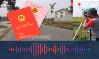 Nhiều trường hợp được cấp sổ đỏ mới