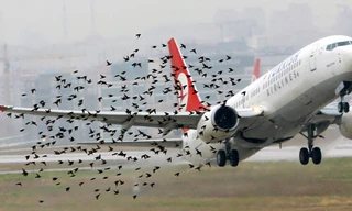 Anh: Đường băng đóng cửa, nhiều chuyến bay tuyên bố tình trạng khẩn cấp