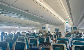 Tăng gần 600 chuyến bay trên các chặng đang 'cháy vé' Tết