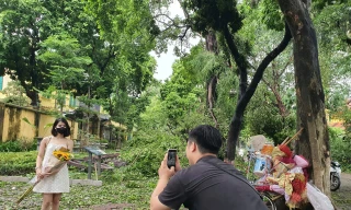Mặc cây đổ la liệt, nhiều người vẫn ‘mê’ check-in trên tuyến đường nổi tiếng đẹp nhất Hà Nội 