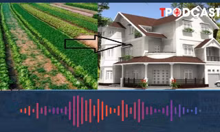 Trường hợp chuyển đất nông nghiệp sang đất ở không phải nộp tiền sử dụng đất 