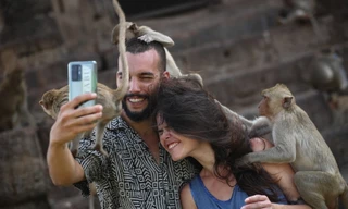 Triệt sản gần 2.000 'hầu gia' cướp thức ăn, đánh nhau với du khách