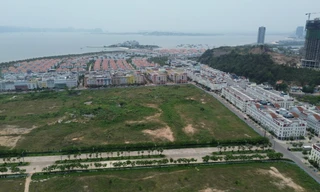 Quảng Ninh: Một đảo được quy hoạch thành khu du lịch sân golf hơn 1.000 ha 