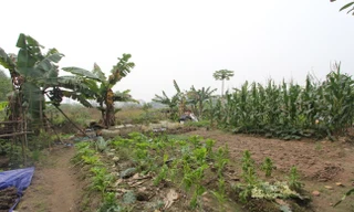 Thủ tướng chỉ đạo 'nóng' về tiến độ triển khai Luật Đất đai mới