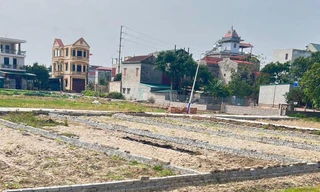 Chủ đầu tư được trả tiền thuê hàng năm sẽ giúp hạ giá nhà, đất?