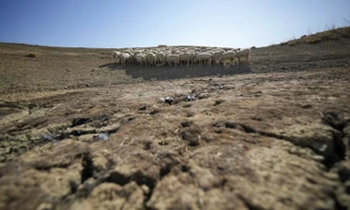 197 quốc gia họp 2 tuần không thống nhất được kế hoạch 'sống còn'