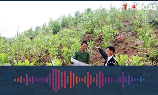 Lý do chỉ có 1 trường hợp hộ gia đình được giao đất ở theo Luật mới?