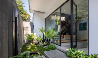 Cải tạo nhà đô thị chật hẹp thành không gian xanh đáng sống