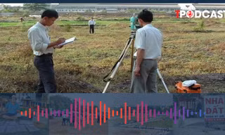 Những trường hợp nào phải ký giáp ranh năm 2024