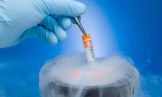 Chạy đua với thời gian cứu tinh trùng của chàng trai Hà Nội đã chết