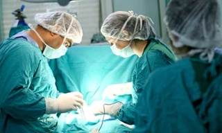 Ảnh minh họa - Nguồn Internet