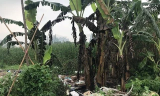 Hiện trường vụ án mạng