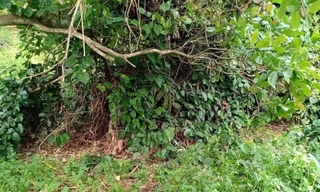 Hiện trường nơi phát hiện vụ việc. Ảnh: Công an cung cấp