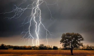 Người đàn ông bị sét đánh tử vong khi đang đi làm đồng tại Hải Dương