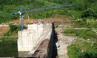 Rừng Vĩnh Thạnh - nơi xảy ra hỗn chiến giữa 2 nhóm lâm tặc