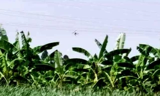 Chiếc flycam bị vướng vào dây điện