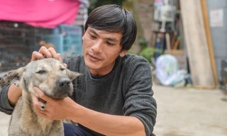 Tìm chủ cho 'thú cưng' bị bỏ rơi ở Hà Nội: Tôi chỉ sợ họ mang về làm thịt