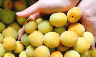 Đặc sản chùa Hương nức tiếng Hà thành, dân ‘xếp hàng’ canh mua