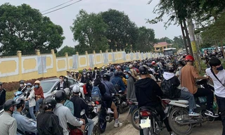 Vườn quốc gia Ba Vì tắc từ sáng đến chiều vì người dân đổ xô ngắm hoa dã quỳ