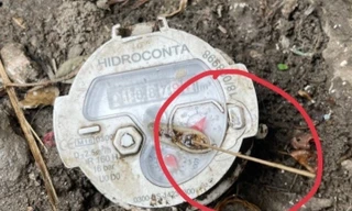 Một hộ dân ở Hà Nội bị yêu cầu truy thu 80 triệu đồng tiền nước