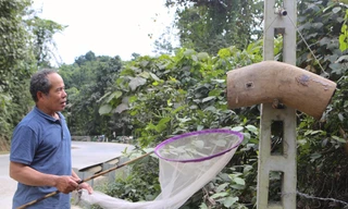 Ngược ngàn rong ruổi săn ong rừng