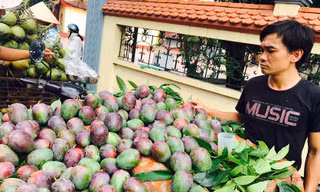 Loại xoài vỏ tím bầm đang được bán khá nhiều ở Hà Nội