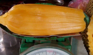 Ông nông dân tạo ra quả mít có múi nặng hơn 2 lạng