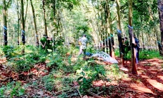 Khu rừng cao su nơi phát hiện xác nạn nhân