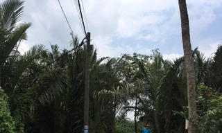 Khu vực nơi xảy ra án mạng