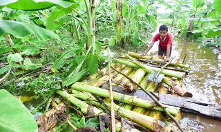 Hà Nội: Bé trai 15 tuổi đóng bè chuối đưa mẹ và chị đi chợ hàng ngày