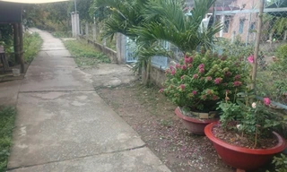 Khu vực nơi xảy ra vụ việc