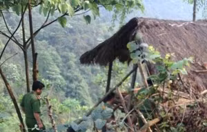 Khởi tố người phụ nữ đâm chết nghi phạm cưỡng hiếp