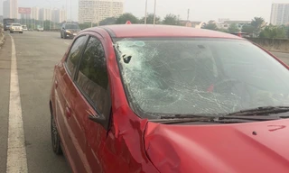 Bò lao vào ô tô rồi bỏ chạy, xe hư hỏng