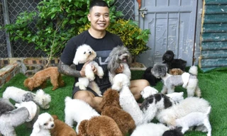 8x Hà Nội kiếm tiền tỷ nhờ nuôi loại chó 'càng nhỏ càng đắt'